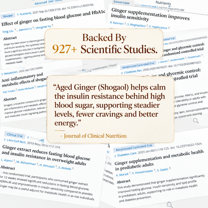 Alvenica Aged Ginger Root Softgels Blood Sugar