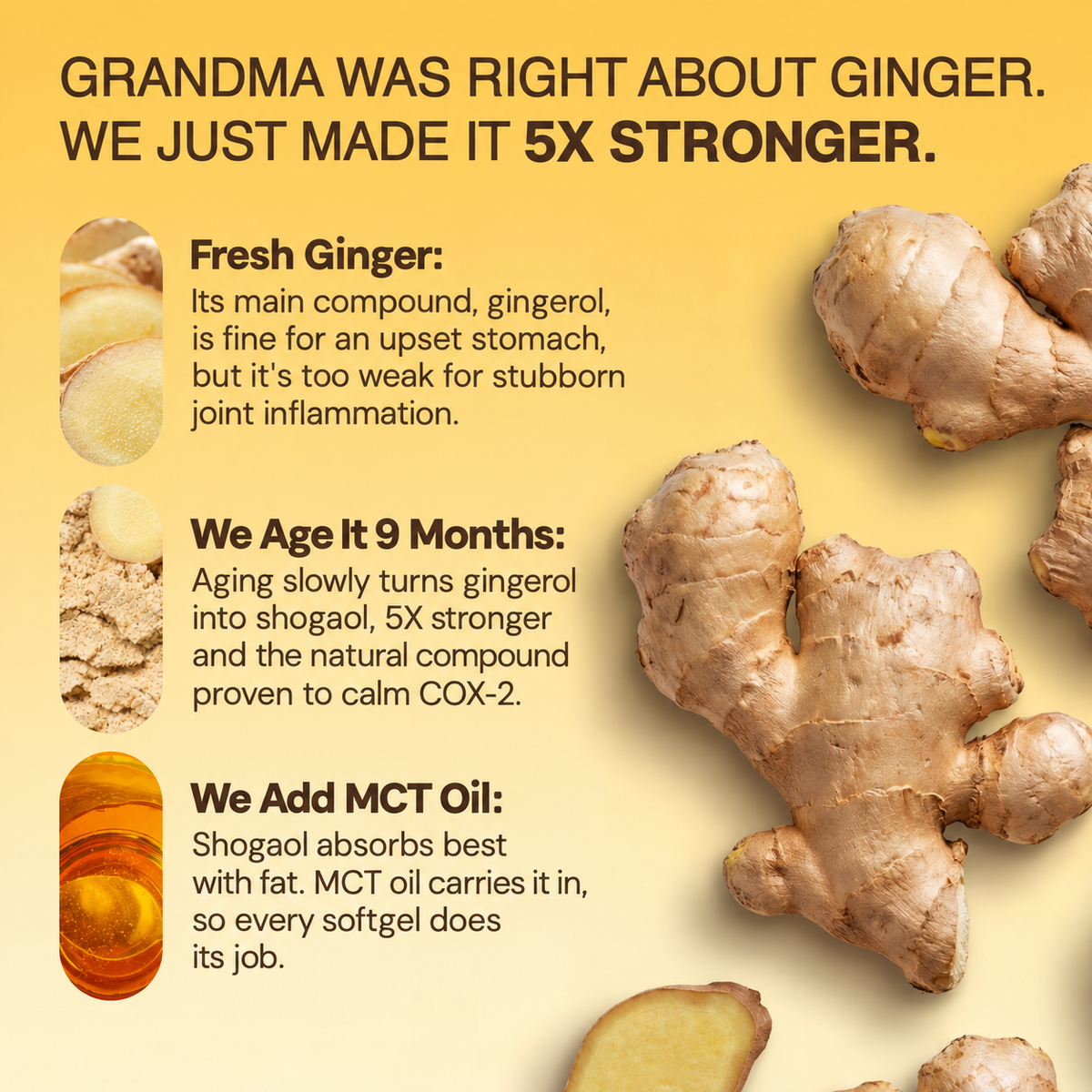 Alvenica Aged Ginger Root Softgels - 60 Capsules
