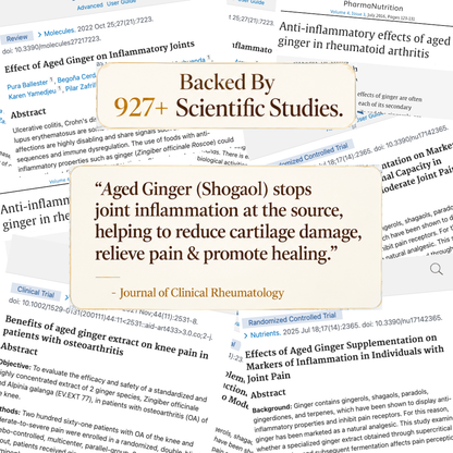 Alvenica Aged Ginger Root Softgels