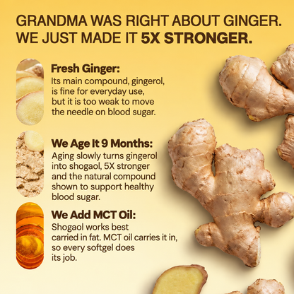 Alvenica Aged Ginger Root Softgels Blood Sugar